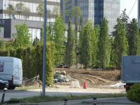 Imagine atasata: Openville - 2019.08.04 - 04.jpg